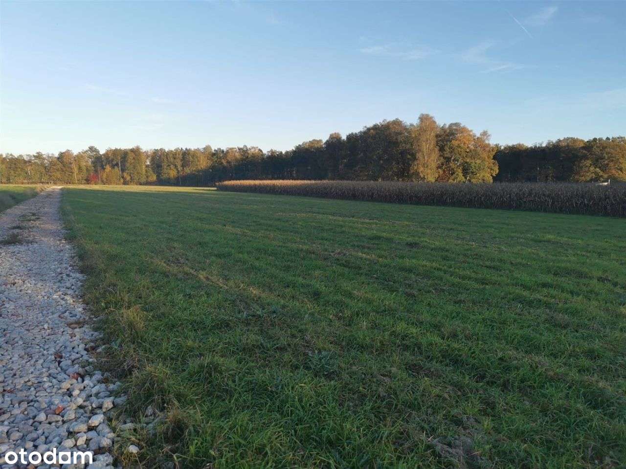 Wyjątkowa działka.-5