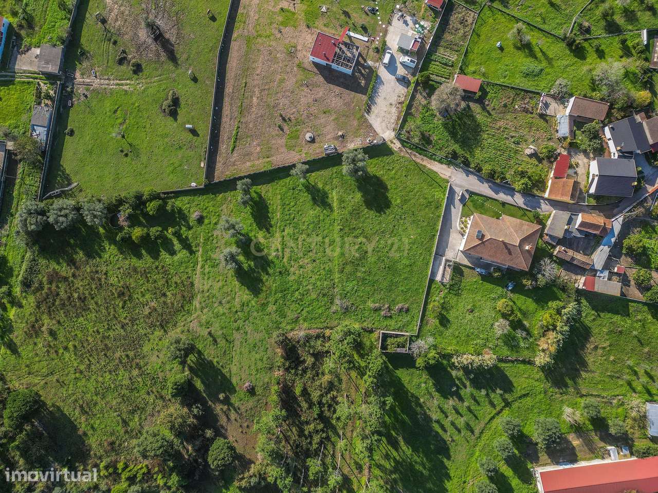 Terreno Agrícola em Montemor o Velho - Oportunidade Única-5