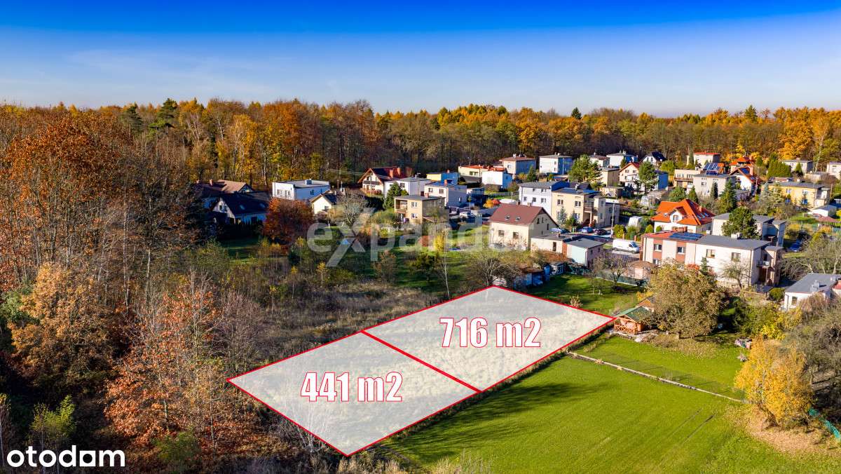 ul.. Jaśminowa/Brzozowa-granica Mikołowa i ŁaziskG - Pełny obrazek: 1/19