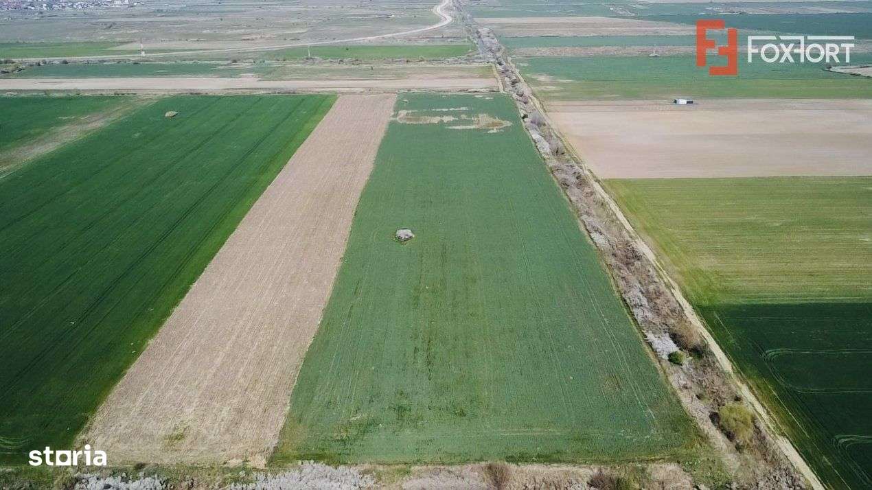 COMISION 0% Teren Extravilan 10.200 mp, Front 19ml, Giroc - Imagine principală: 1/3