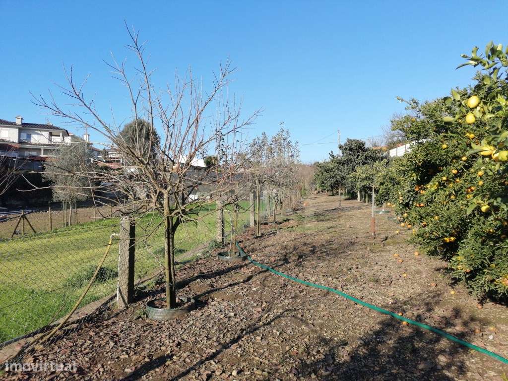 Terreno com 2.430 m² e Ruína em Ribeirão-10