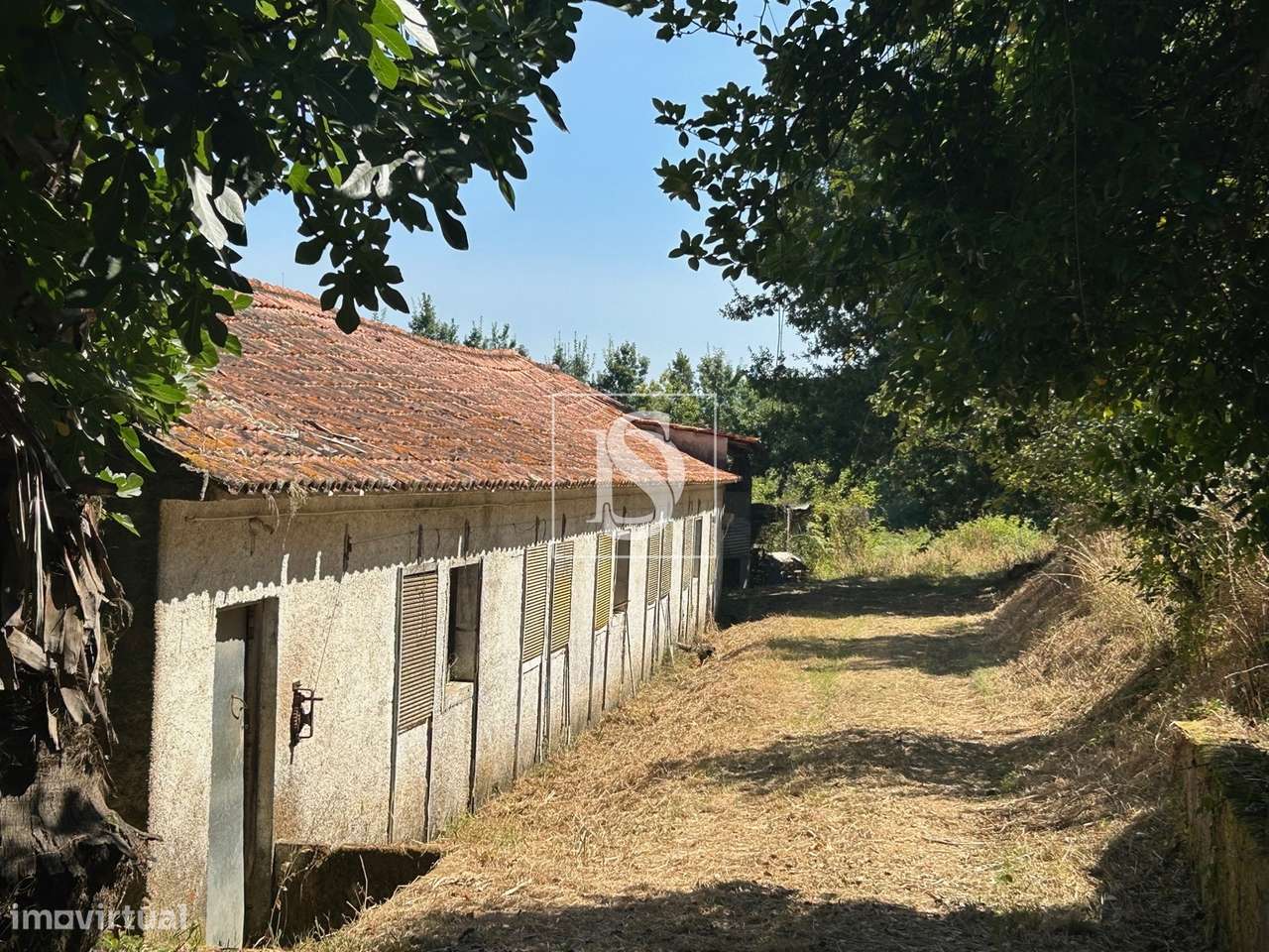 Quinta com 24.300m² em Vale de Açores, Mortágua-40