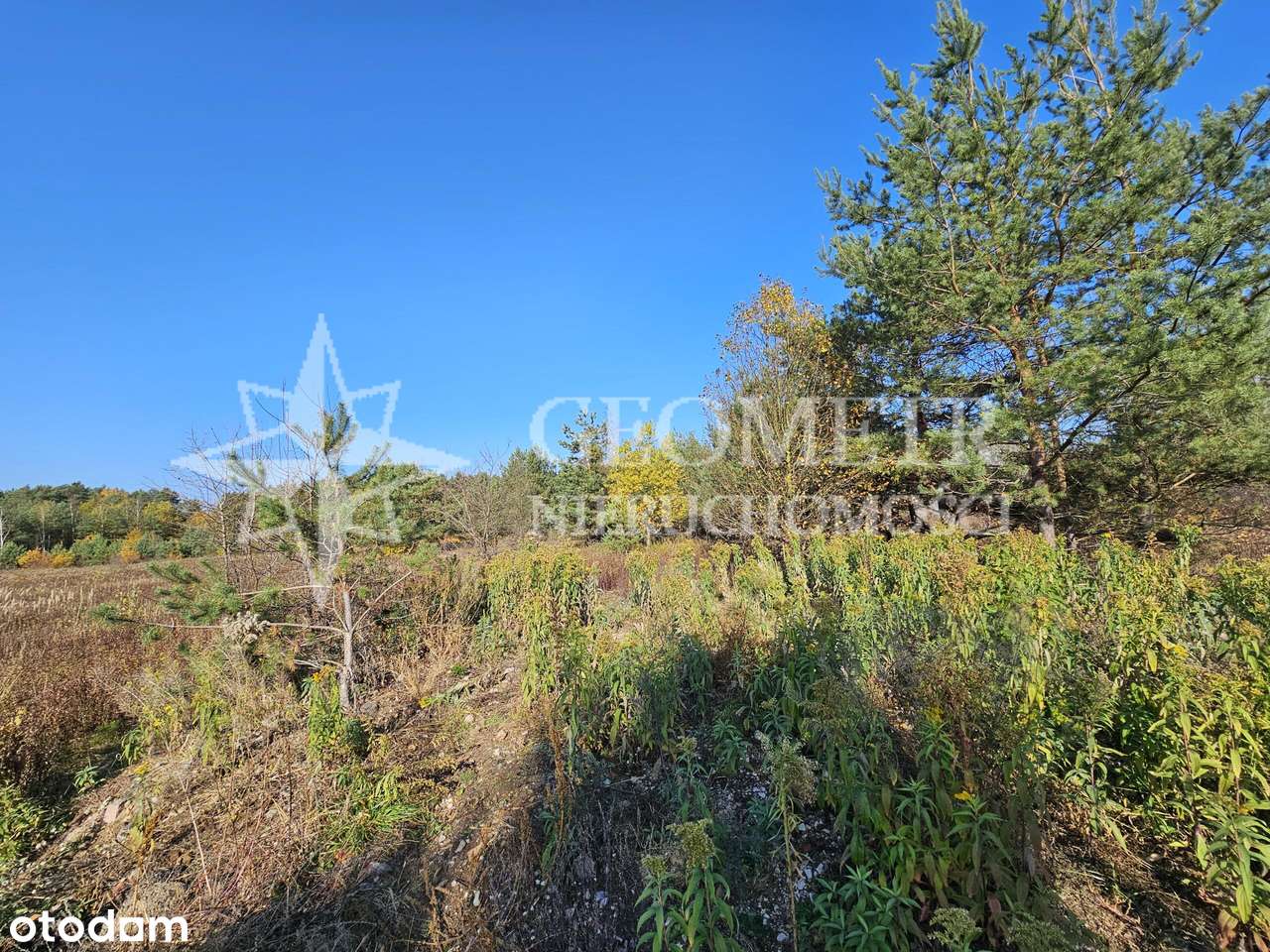 przedostatnia działka na ulicy - Pełny obrazek: 4/6