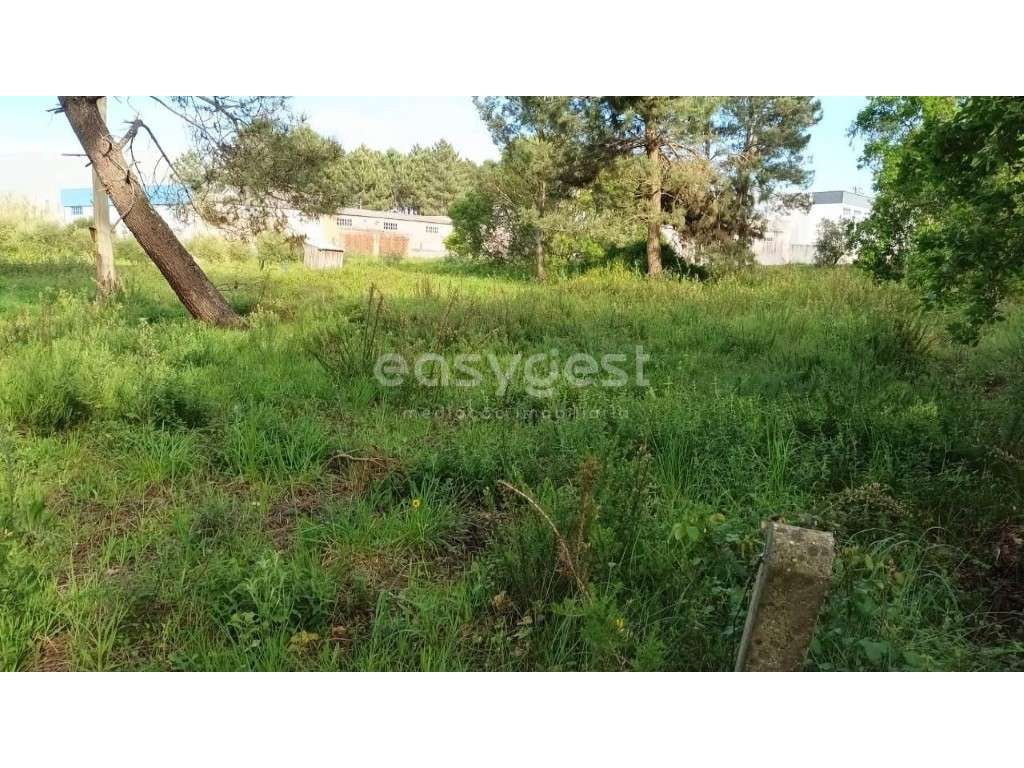 Terreno Rústico com possibilidade de construção em Touria Pousos - Grande imagem: 3/13