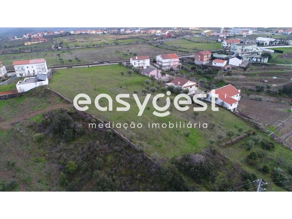 Terreno Rústico para loteamento no coração de Vila Nova Foz Côa - Grande imagem: 5/6