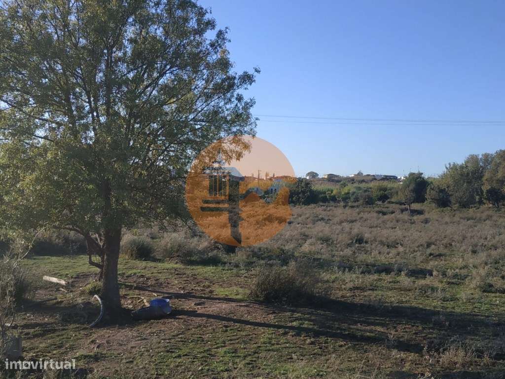 TERRENO COM RUINA - 4.960 M2 - COM NORA - ÁGUA DA BARRAGEM NA JUNQU...-38