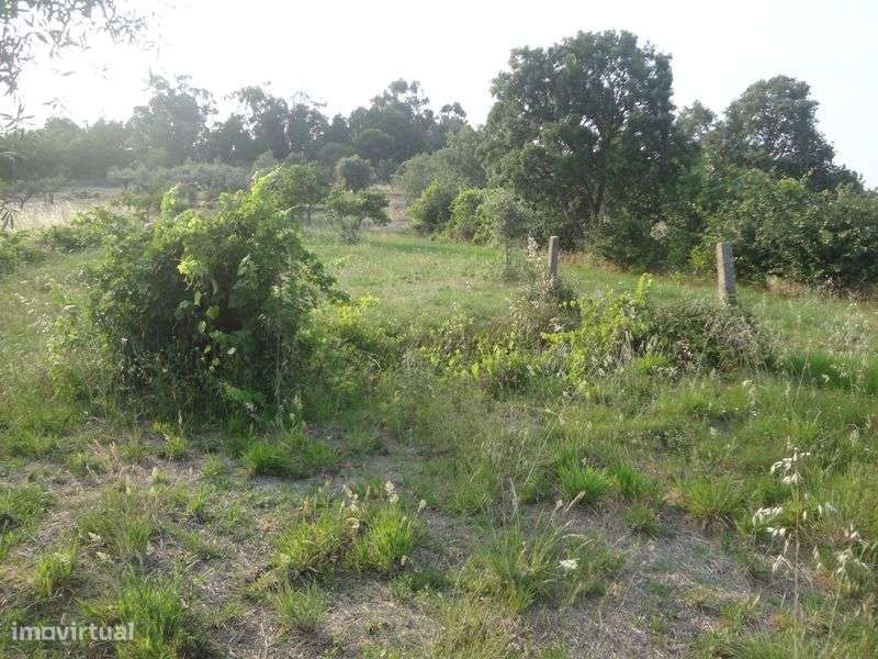 Terreno - Grande imagem: 3/6