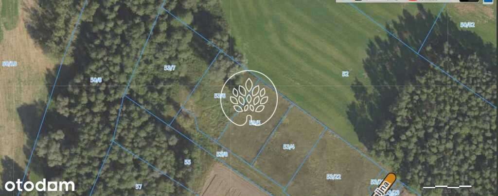 Prawie pół hektara Szcutki - warunki zabudowy - Pełny obrazek: 5/7