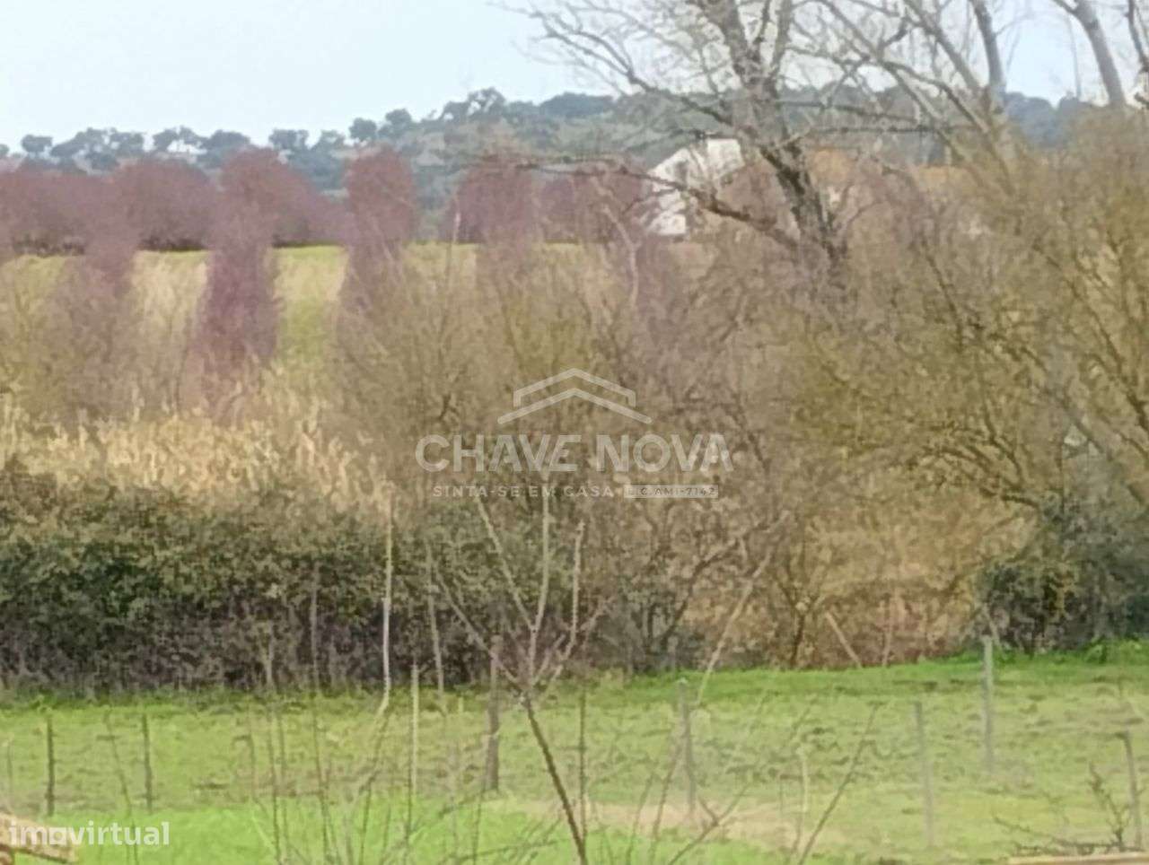 Uma verdadeira oportunidade, uma casa com 1,5 hectares de terreno.-19