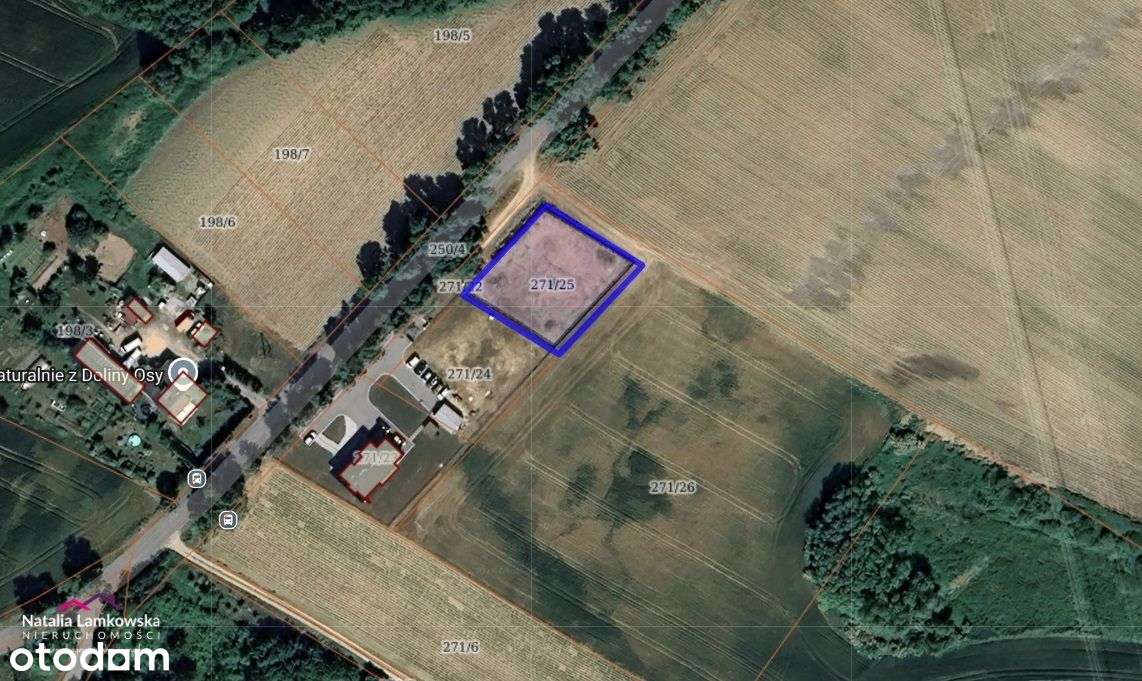 *ROGÓŹNO*działka budowlana*dostępne media*warunki zabudowy* - Pełny obrazek: 4/5