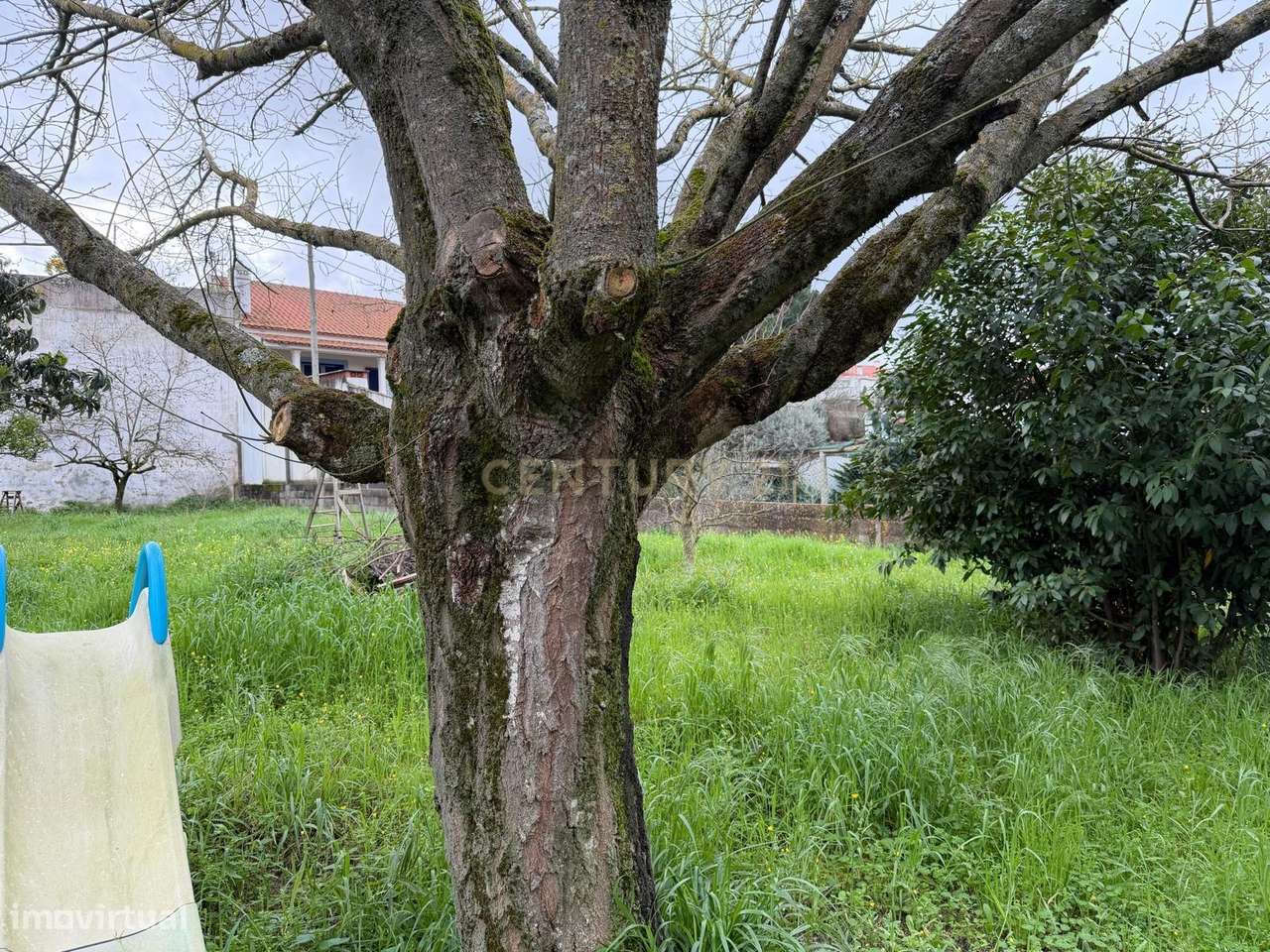 Encantadora Casa de Campo em Vale de Santarém-16