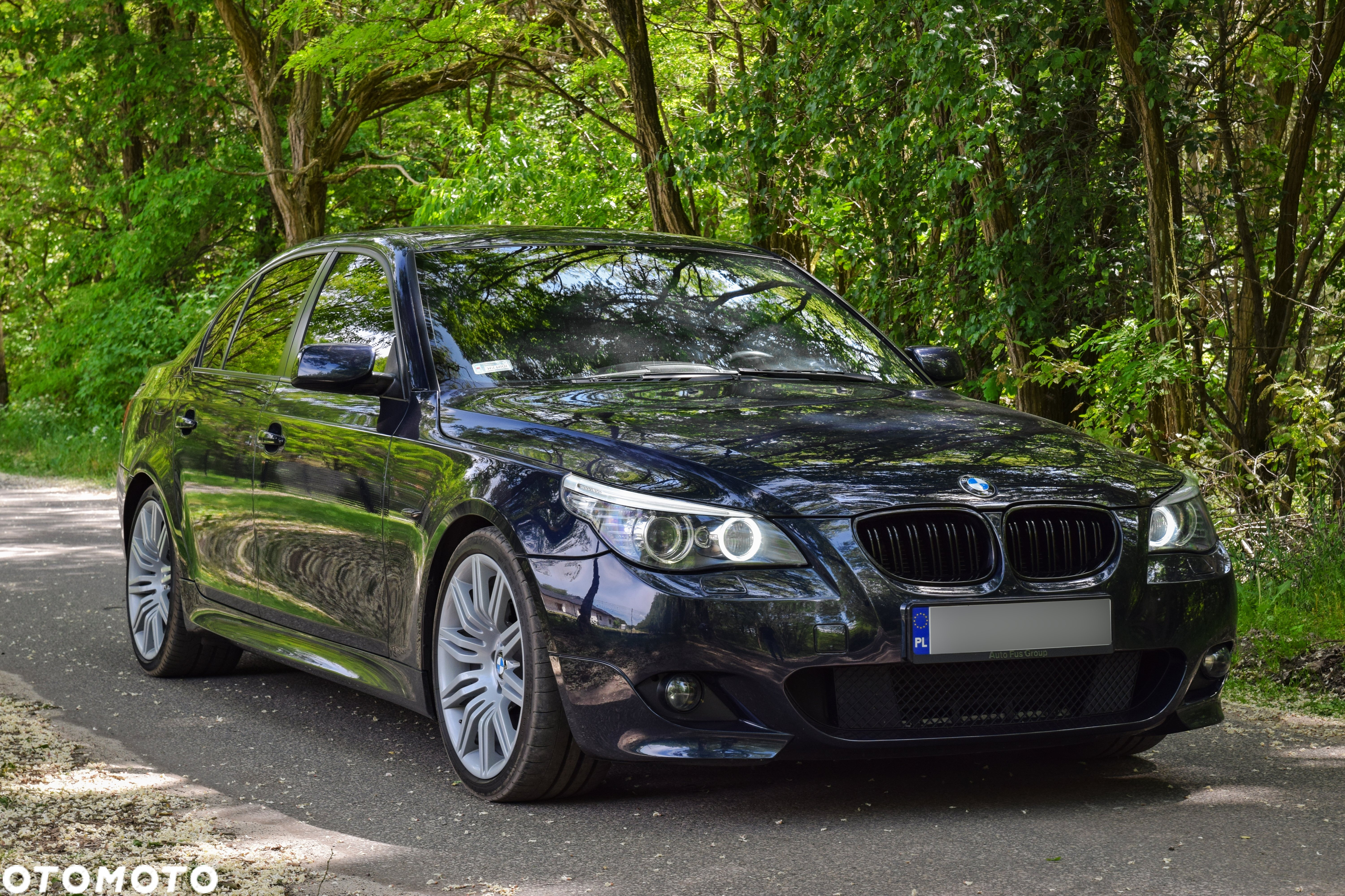 BMW Seria 5 - 36