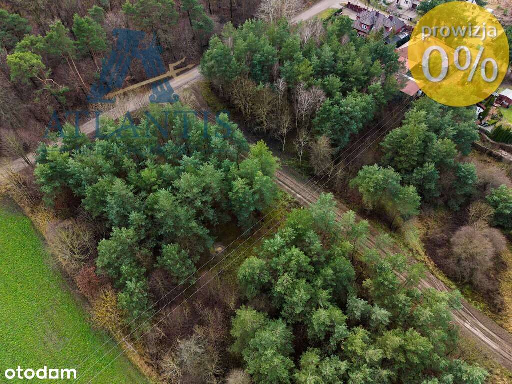 Działki budowlane z warunkami zabudowy przy lesie-3