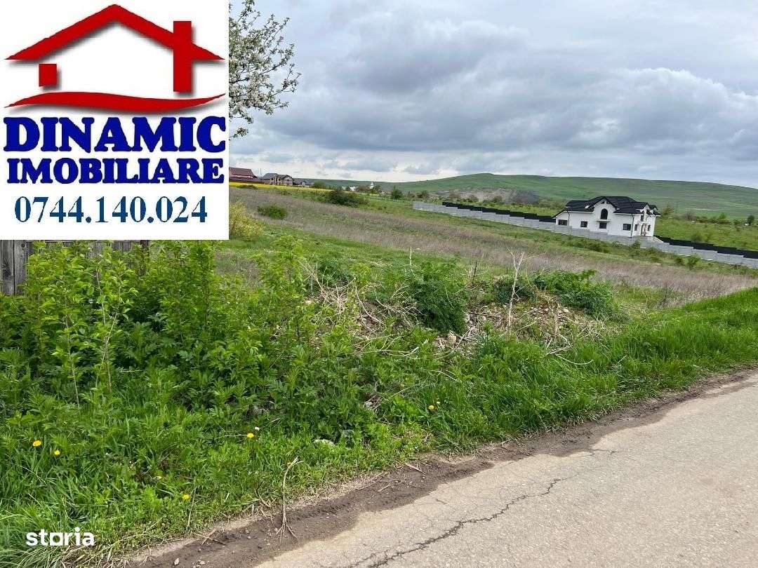 Teren 5000 mp zona Fermelor, str. Plantelor - Imagine principală: 1/2