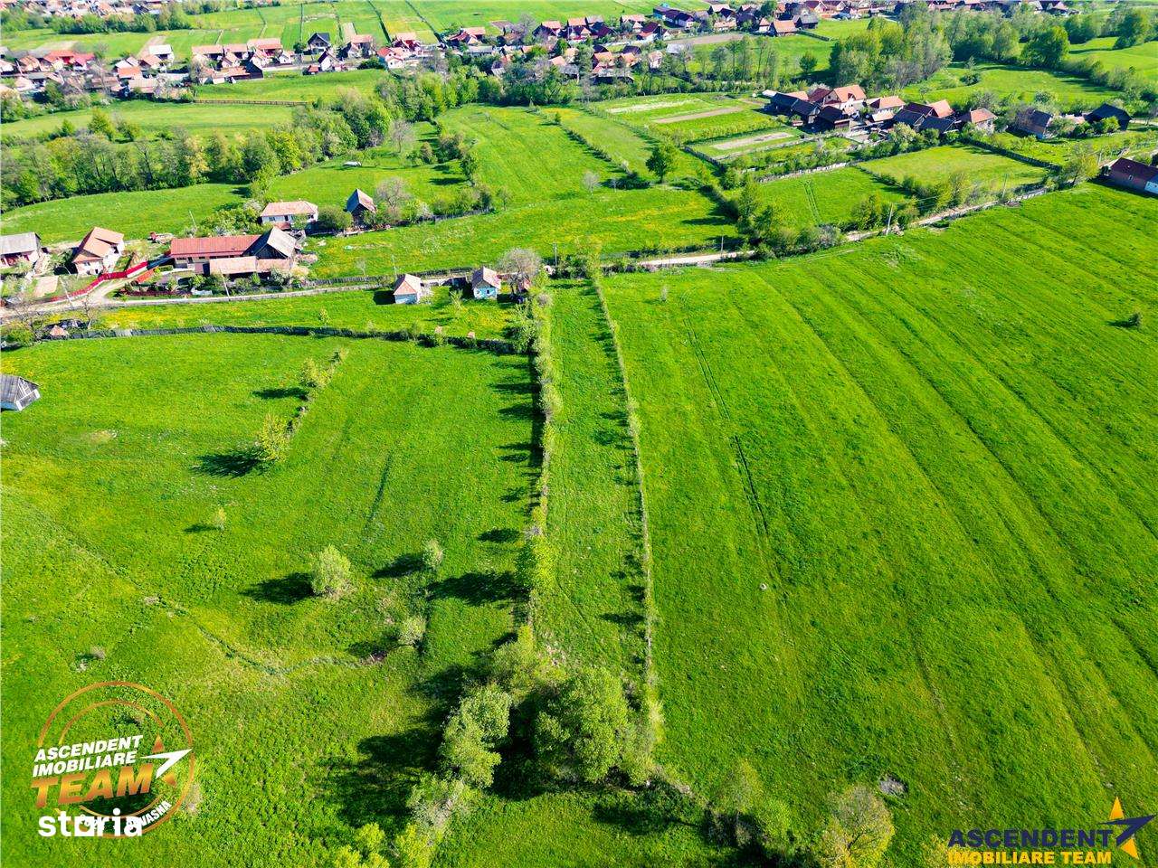 FILM! 2.063 mp de refugiu natural in localitatea Zagon, Covasna - Imagine principală: 4/7