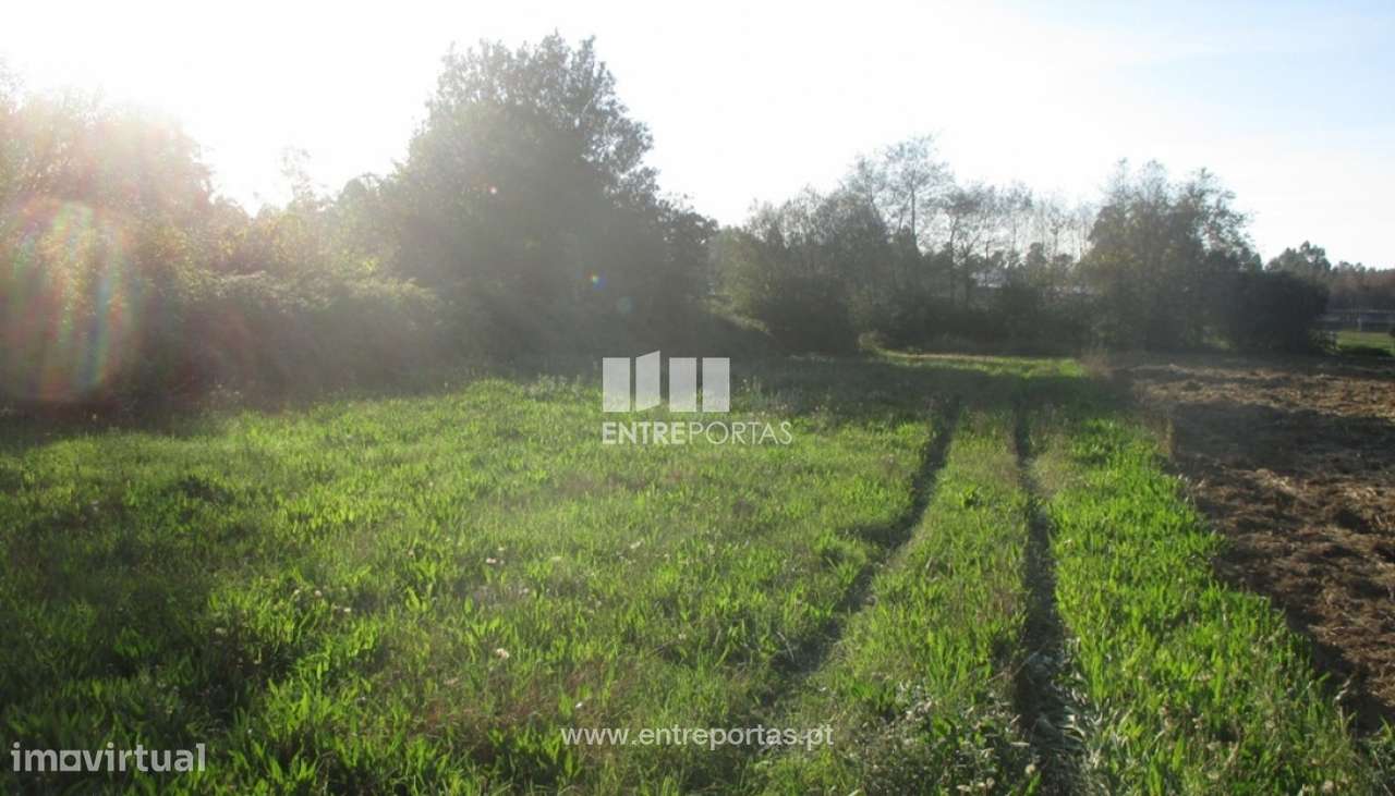 Venda de terreno agrícola, Barroselas, Viana do Castelo - Grande imagem: 4/4