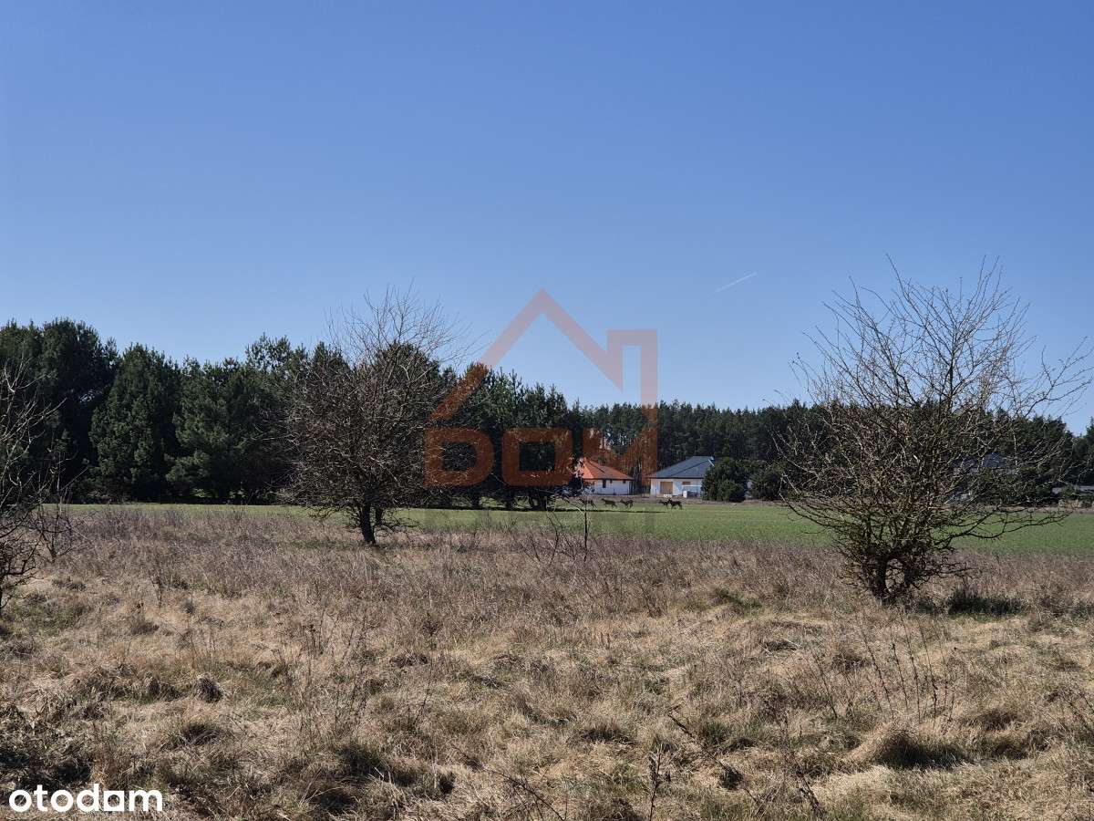 Działka budowlana 3155 m2 Małe Rudy - Pełny obrazek: 5/9