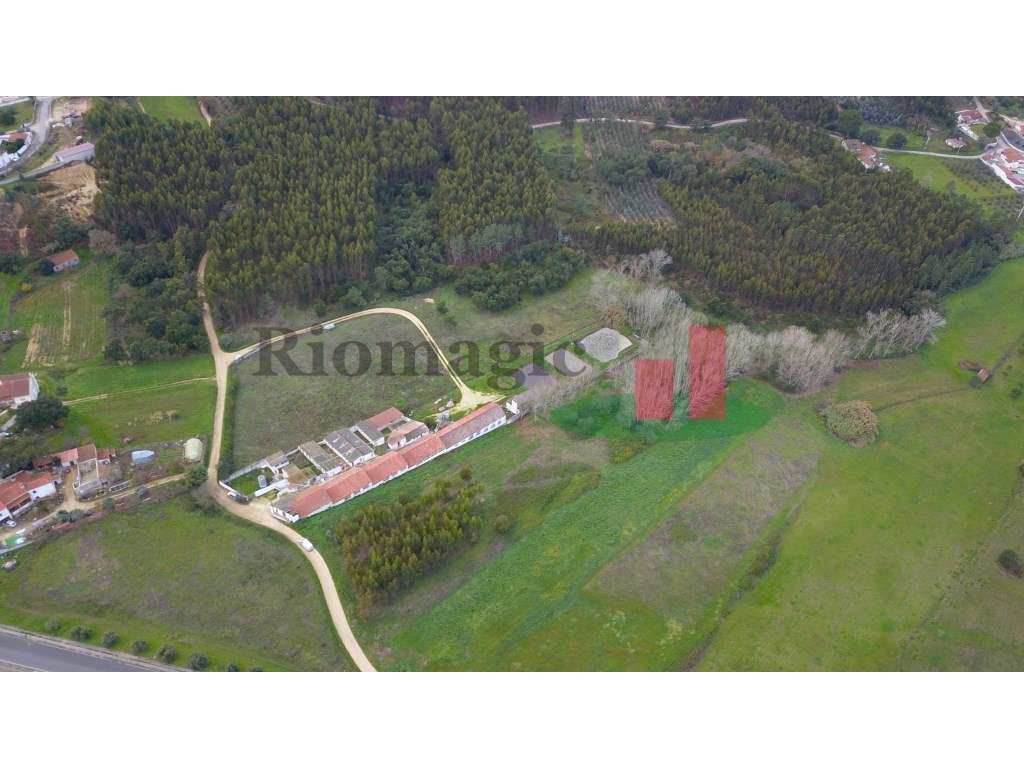 Terreno Rústico em Asseiceira***RIOMAGIC*** - Grande imagem: 5/10