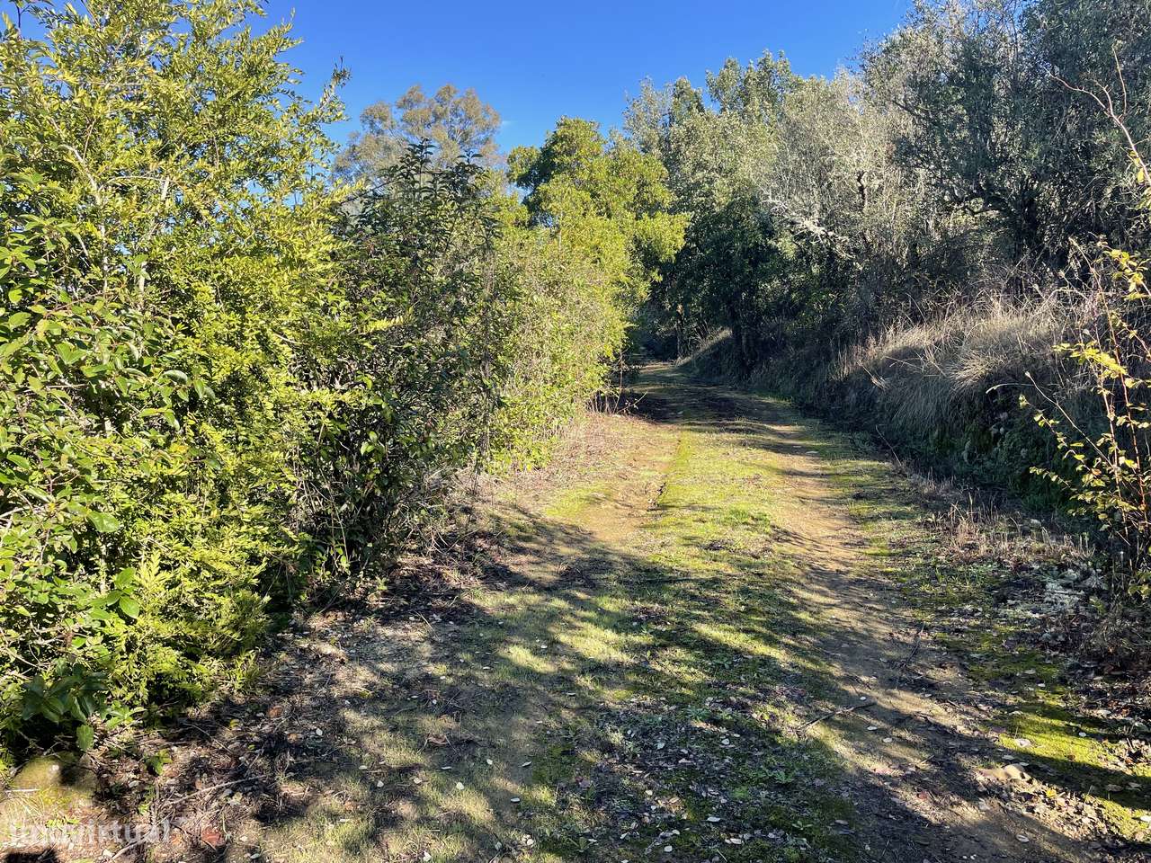 Terreno Rústico  20 000m2 Abrantes - Grande imagem: 5/42