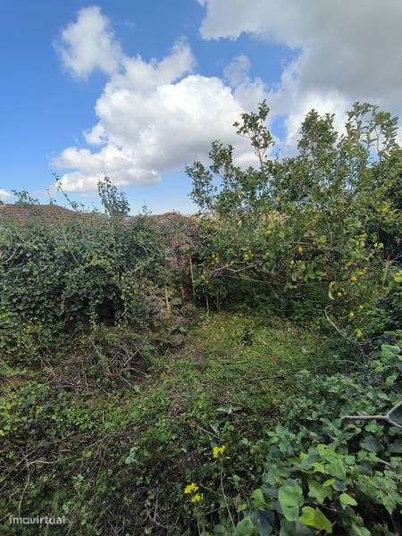 Vendo Ruína em Albogas/Almargem do Bispo-8