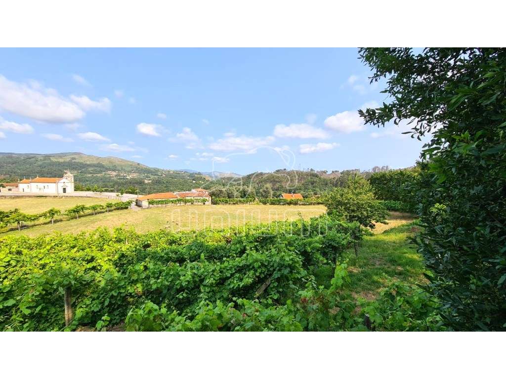 Terreno em Vade - Vila Verde - Grande imagem: 5/15