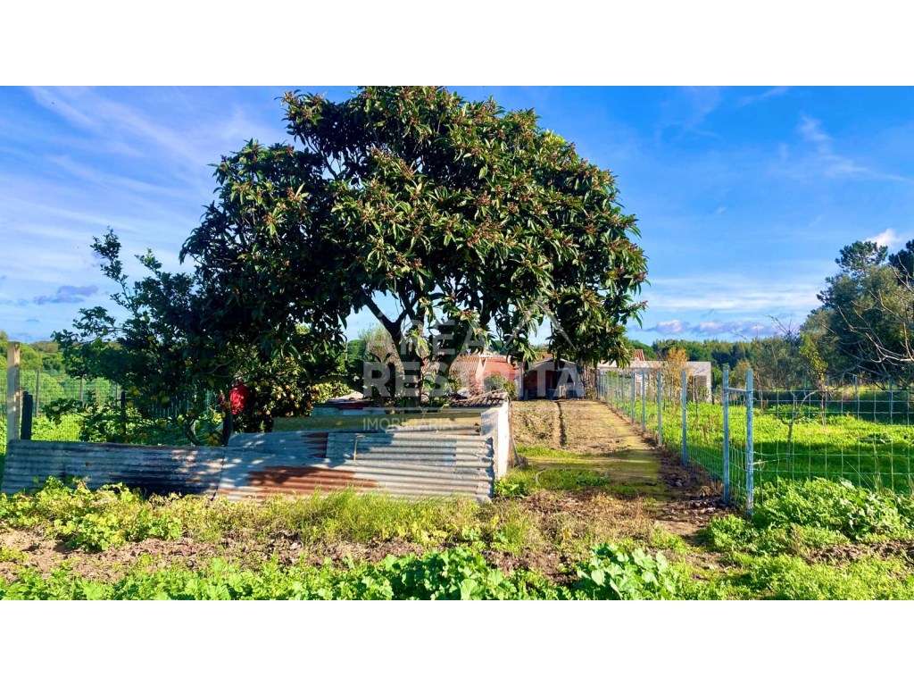 Moradia T2 - Canha (Montijo) - Grande imagem: 4/48