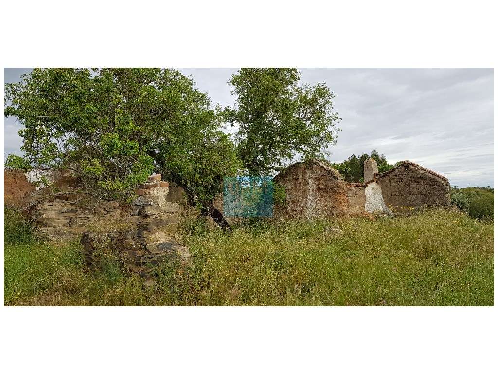 QUINTA - Grande imagem: 4/30