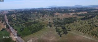 Herdade Quinta da Mourisca em Setúbal | Setúbal, Sado - Grande imagem: 4/6