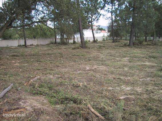Azeitão / Brejos Azeitão Terreno 5000m2 . - Grande imagem: 2/12