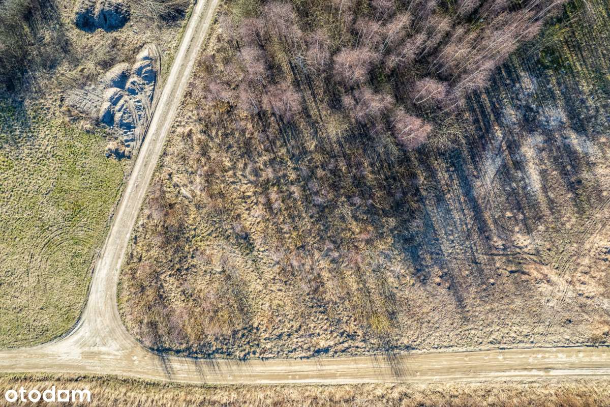 Działka budowlana z WZ |820m do Zatoki Puckiej|LAS - Pełny obrazek: 4/20