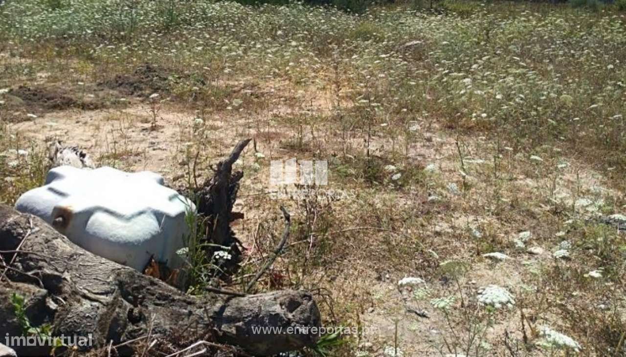 Terreno com 2400 m2, para venda, Retorta, Vila do Conde - Grande imagem: 5/12