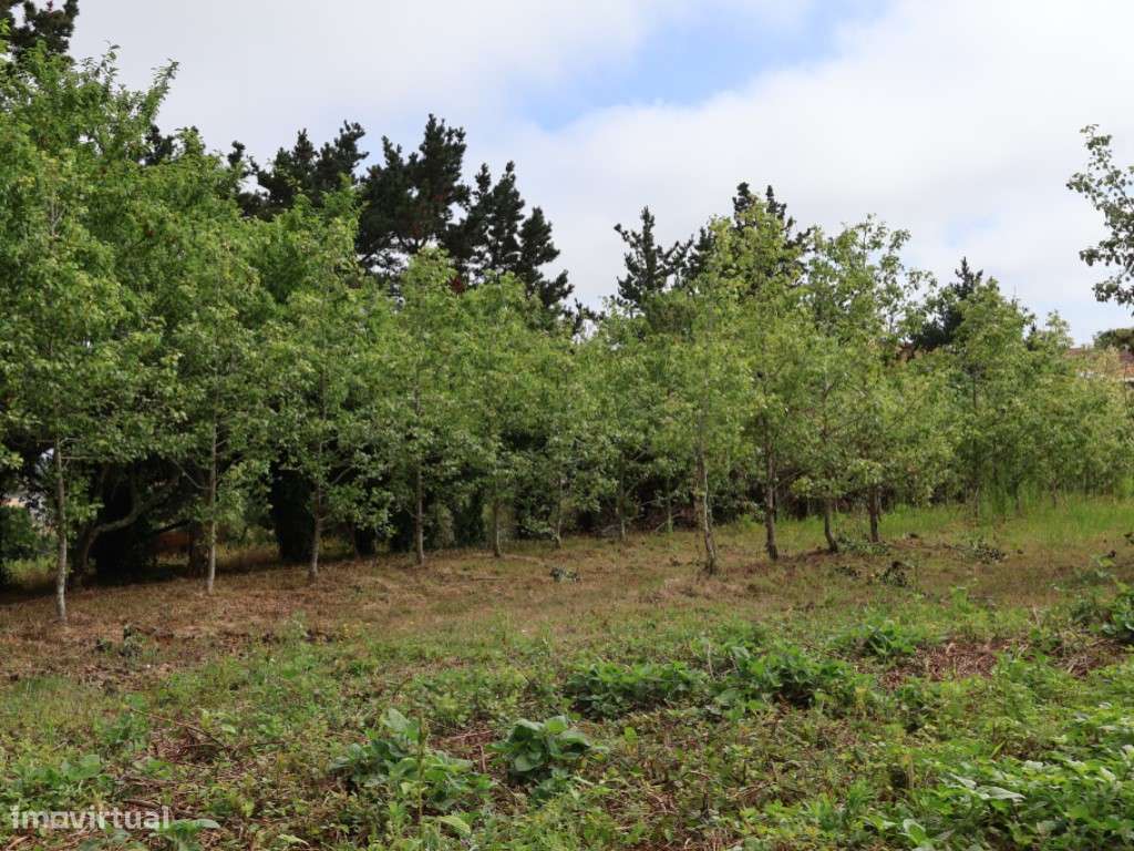 Terreno com 13 435m2 com possibilidade de construção-4