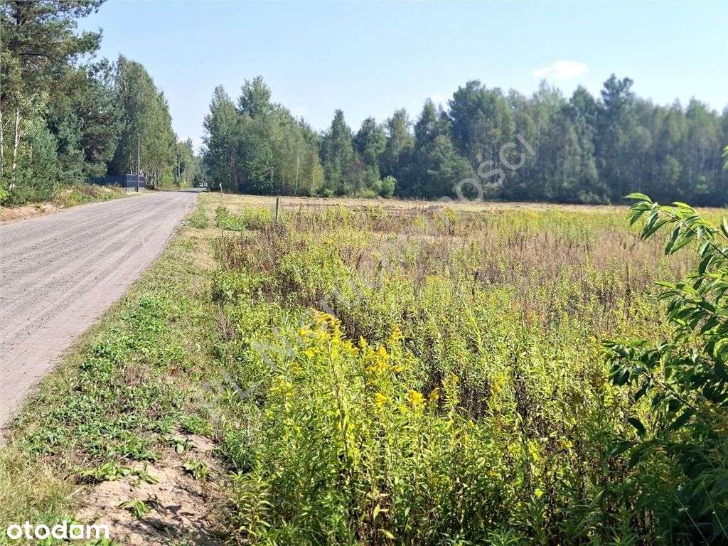 Atrakcyjne działki budowlane w Celinowie - Pełny obrazek: 4/10