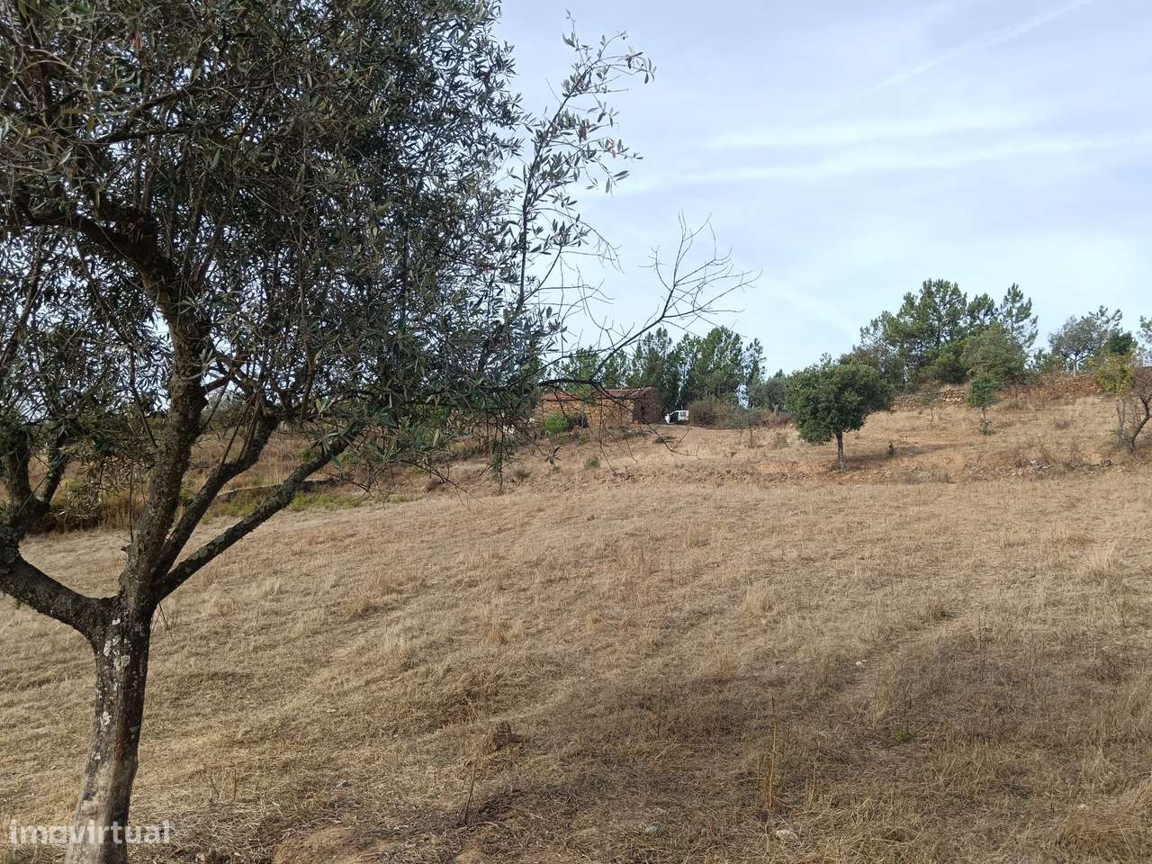 Quintinha - Grande imagem: 5/22