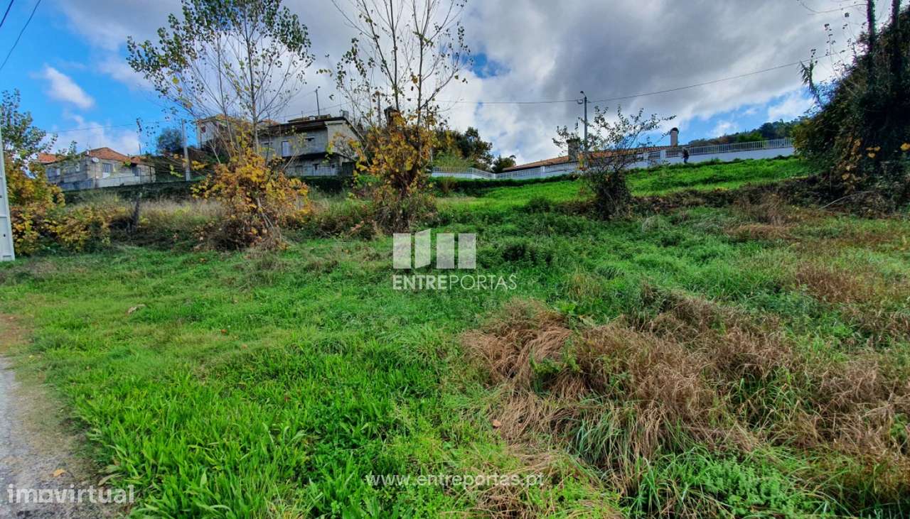 Venda Terreno com possibilidade de construção, Campelo, Baião - Grande imagem: 4/30