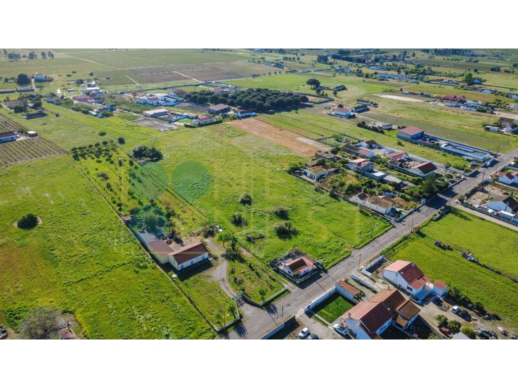 Construa duas casas num terreno único de 12.900m² em Arraiados-19