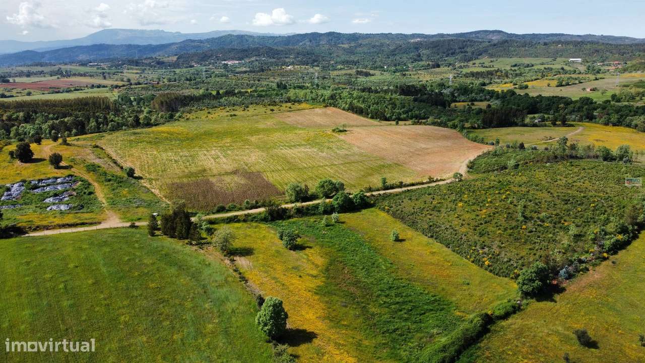 Terreno c/ Regadio - entre Fatela e Capinha - Grande imagem: 3/10