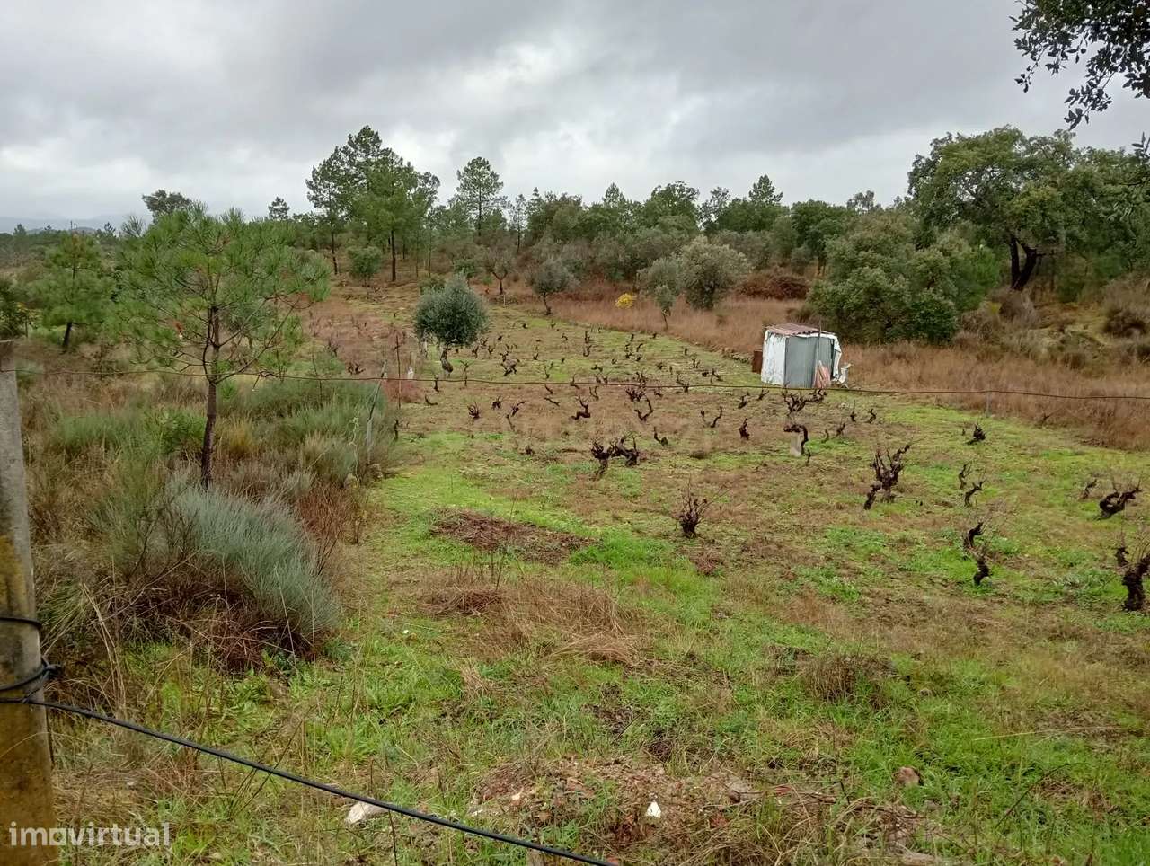 Terreno Rústico com Excelente Acesso – Oportunidade Única! - Grande imagem: 2/9