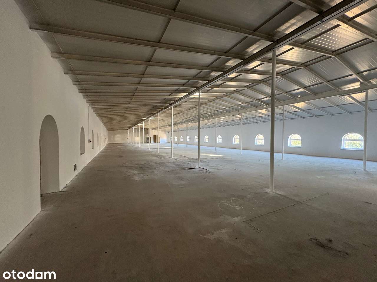 Wynajmę Halę Magazynową wraz z terenem - Pełny obrazek: 5/8