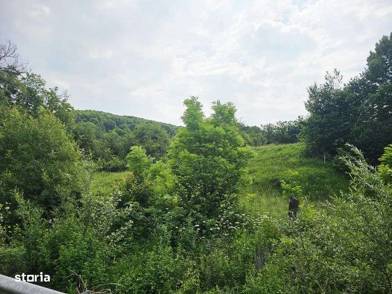 Vanzare teren intravilan, C.U. P+2E, 1659 mp, in Varbilau - Imagine principală: 3/11