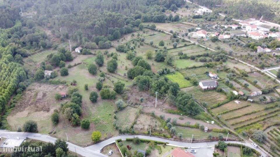 Quinta c/ 40.000m2- VOUZELA - Grande imagem: 4/33