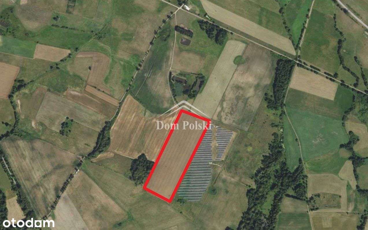 Działka rolna 5,56 ha - Wróbel, gm.Banie Mazurskie - Pełny obrazek: 4/7