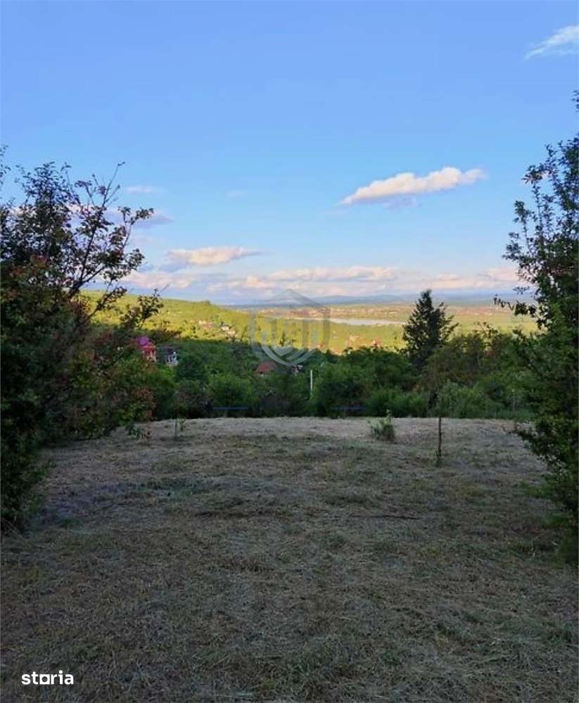 Teren Intravilan, Podgoria - Imagine principală: 5/5