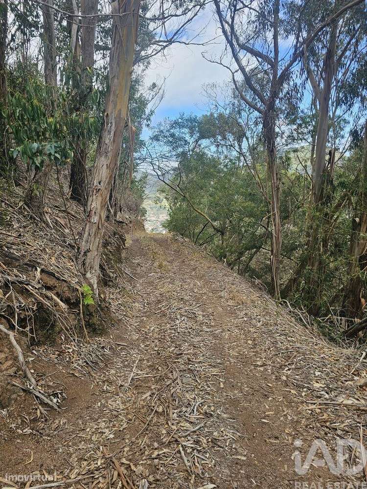 Terreno em Água de Pena de 10100,00 m2 - Grande imagem: 3/5