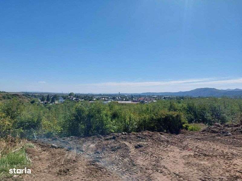 Teren Fermelor, Strada Plantelor - Imagine principală: 4/8