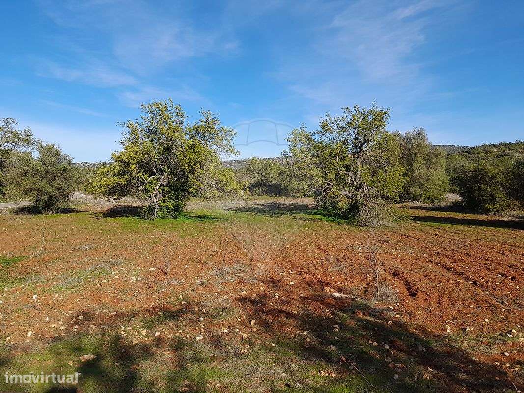 Terreno  para venda - Grande imagem: 3/11