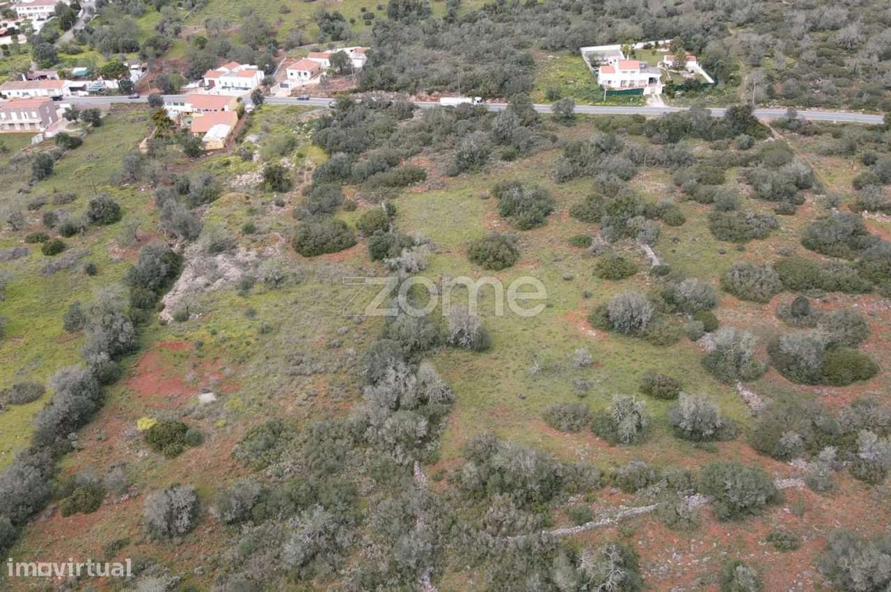 Terreno rústico c/ 20.520m2 na Charneca da Cumeada, Messines - Grande imagem: 5/16