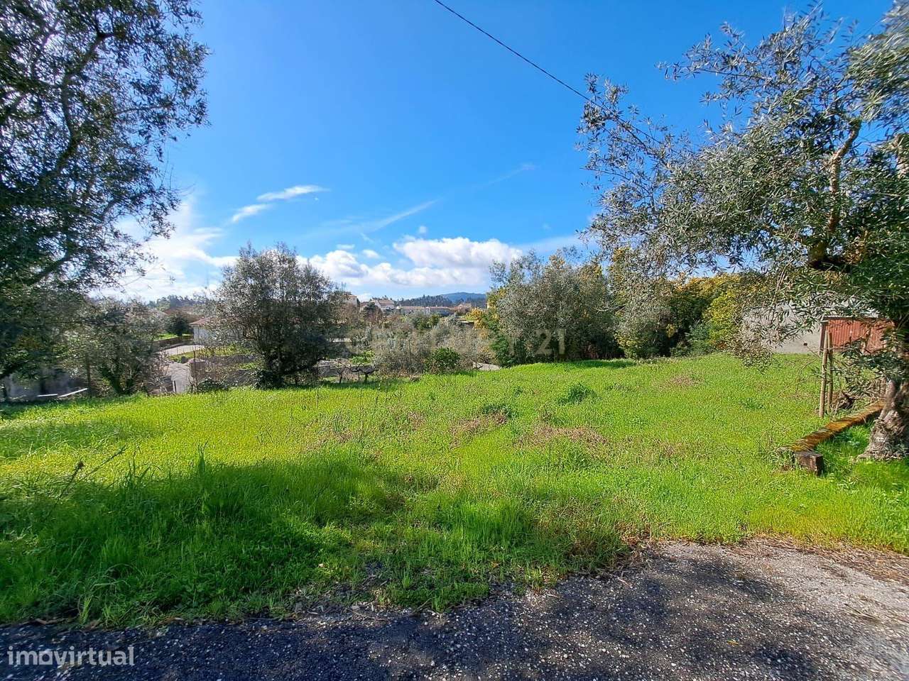 Terreno em Arrifana, Vila Nova de Poiares - Grande imagem: 5/6