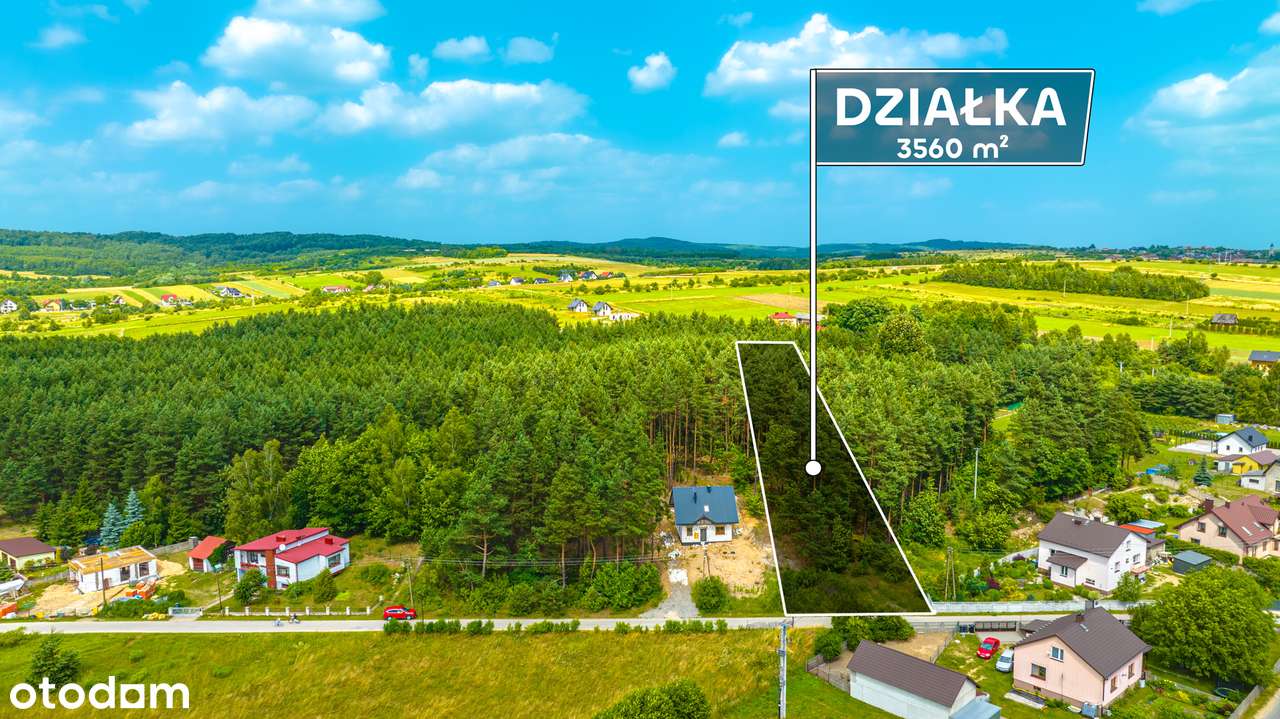 Malownicza działka w Ryczówku na sprzedaż VIDEO - Pełny obrazek: 4/12