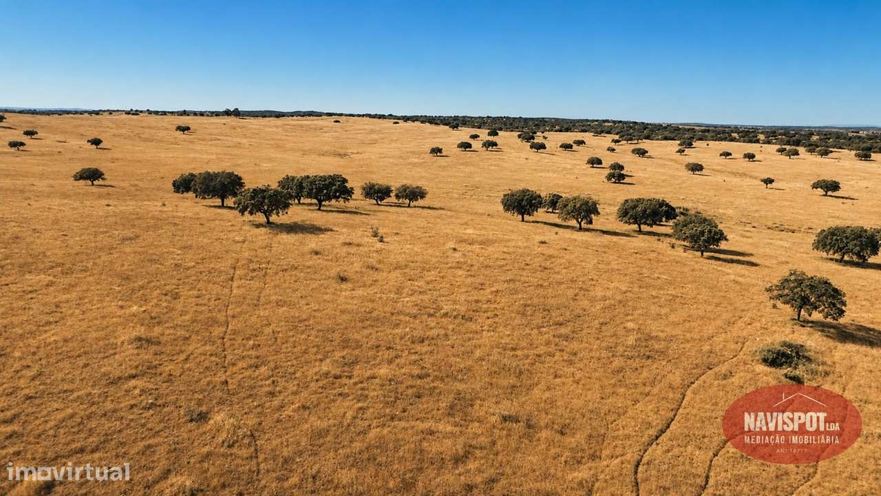 Herdade com 750 hectares no Alentejo-33